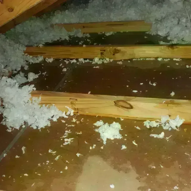 Attic Water Damage in Fulton, NY