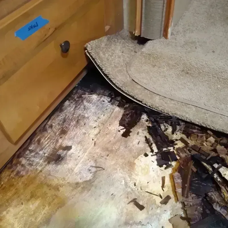 Wood Floor Water Damage in Fulton, NY